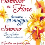 Saronno in fiore